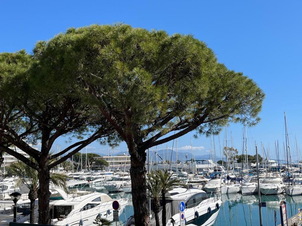 4 Pers , 100M De La Plage Marina Baie Des Anges French Riviera Villeneuve-Loubet Exterior photo
